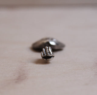 Your Belly Button Has Eyes