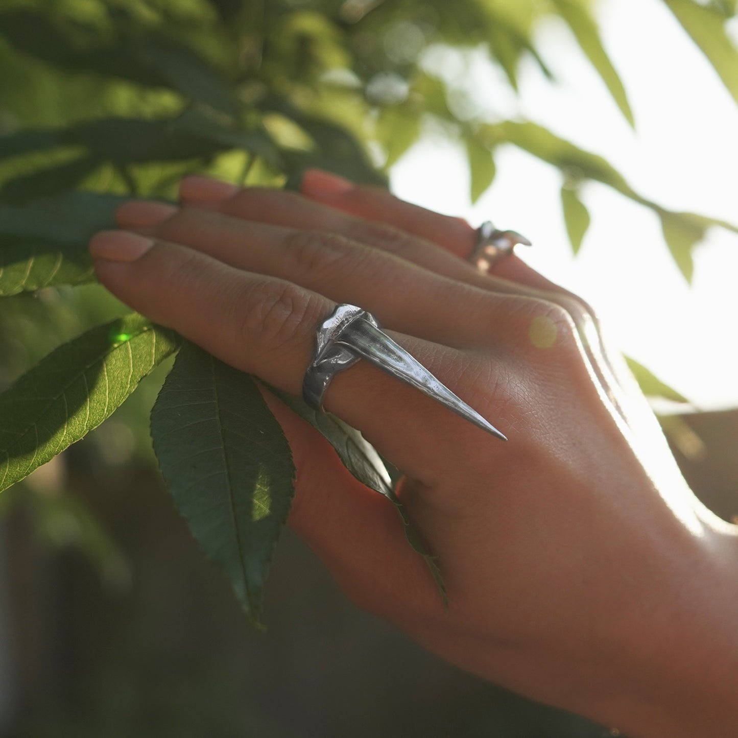 La Bague Griffe